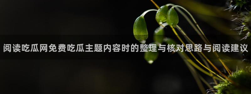 我要吃瓜网