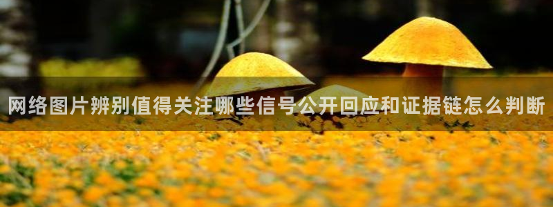 91吃瓜网址