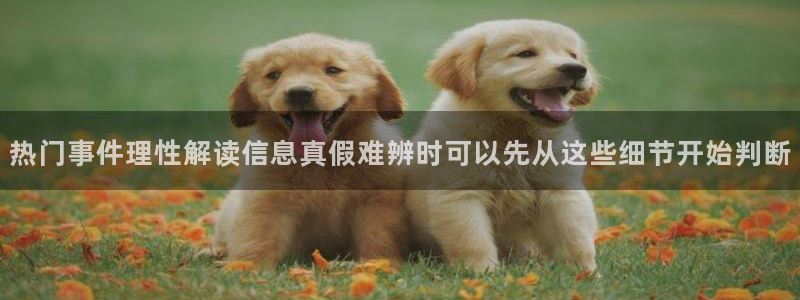 吃瓜网最新网址