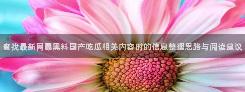 吃瓜网在线