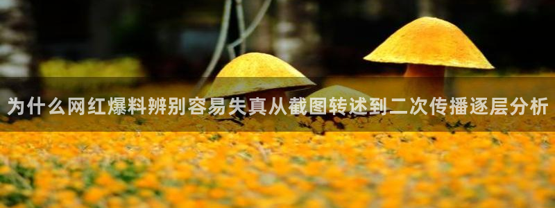 51吃瓜网页:为什么网红爆料辨别容易失真从截图转述到二次传播逐层分析