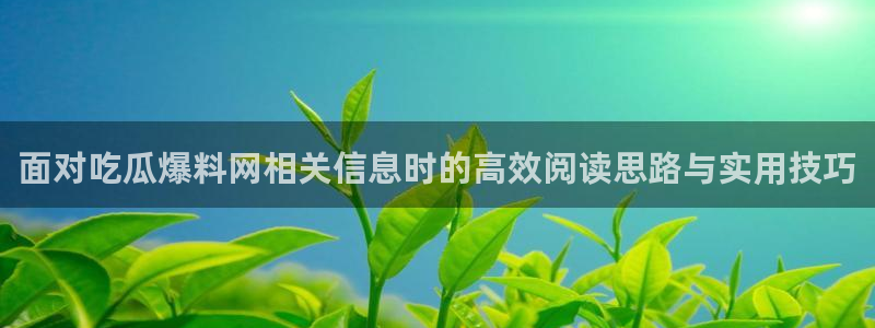 51吃瓜网视频:面对吃瓜爆料网相关信息时的高效阅读思路与实用技巧
